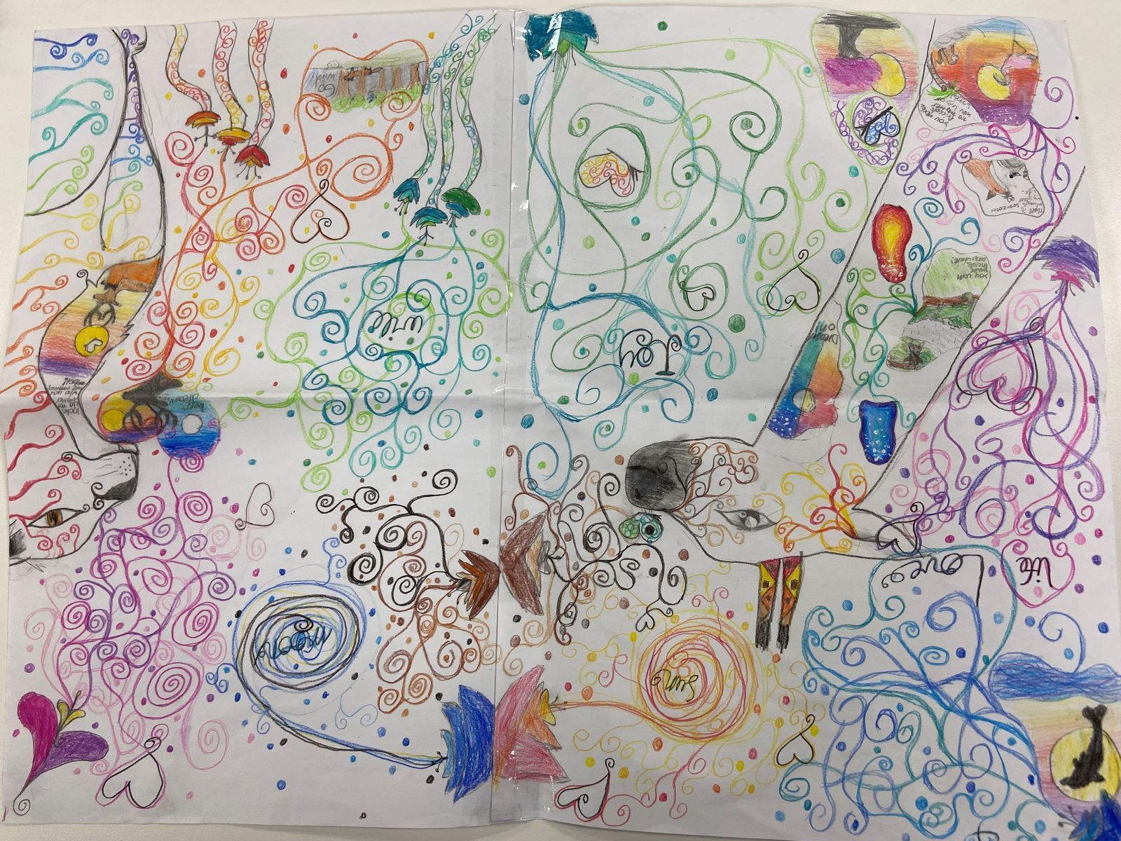 135. Cassie ODonoghue Year 5 6 East Loddon P 12