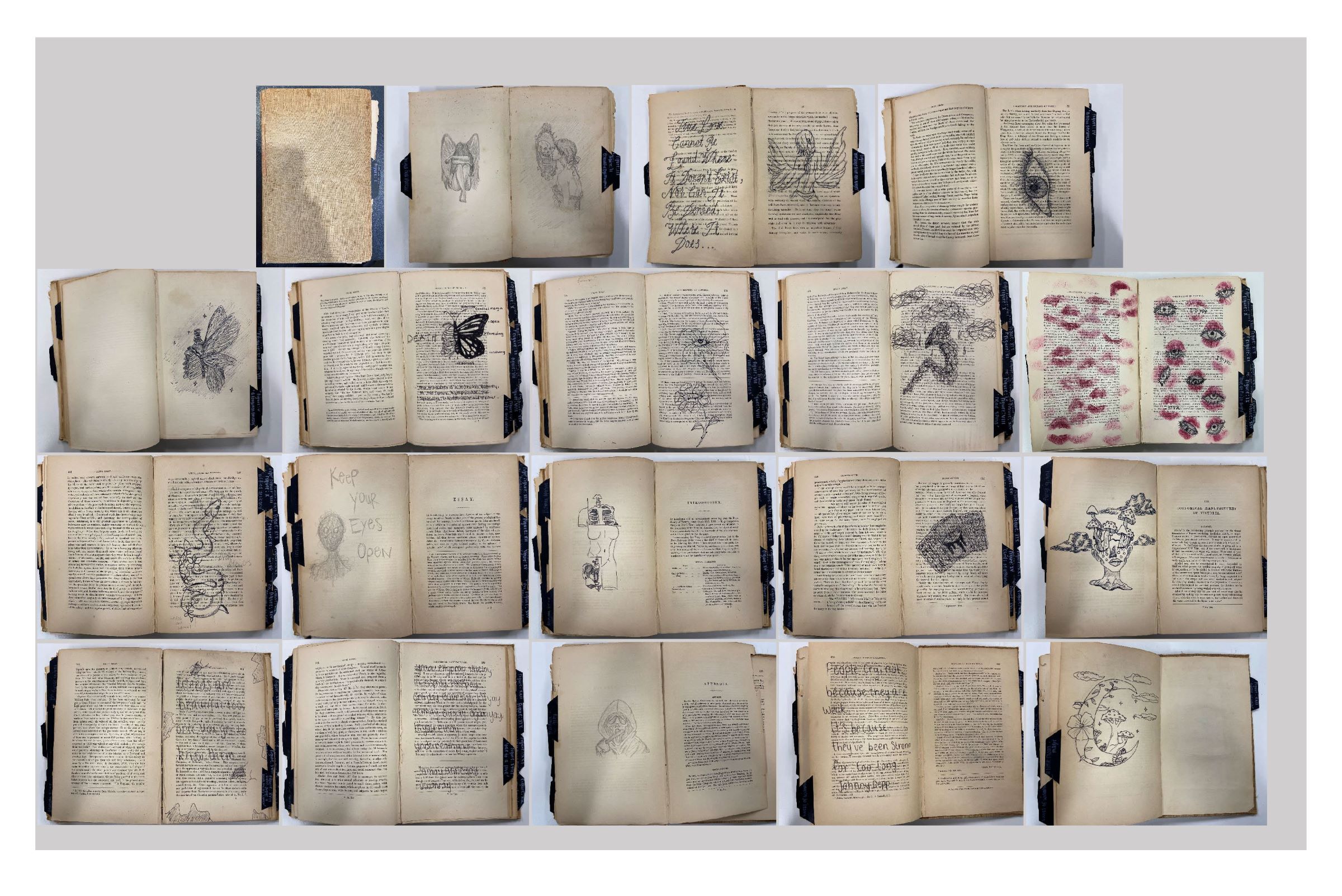 Mia Rowan Year 10 Wedderburn College Collage