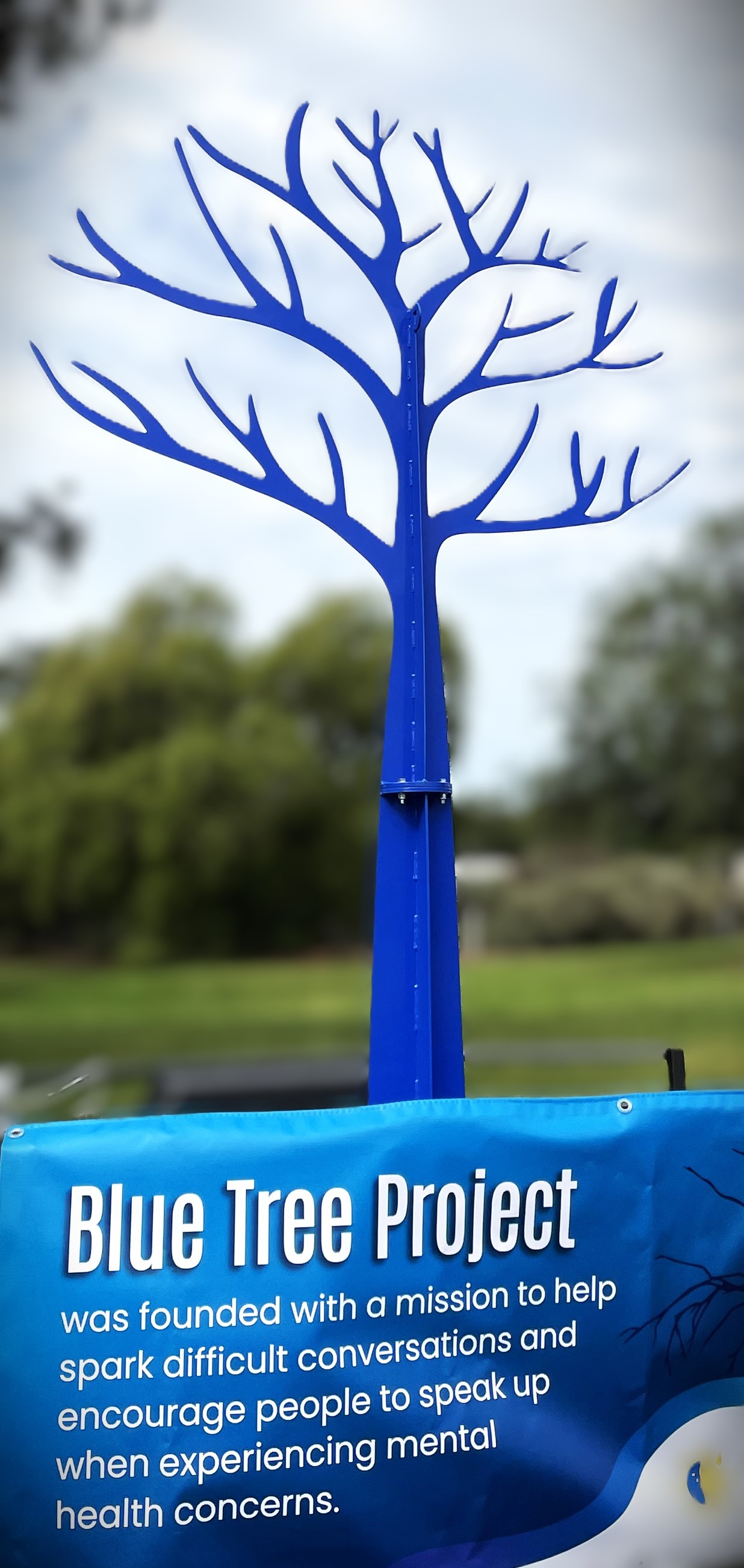 Blue Tree 20240913