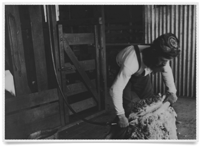 Rural suicide is a major issue that The Ripple Effect is researching.